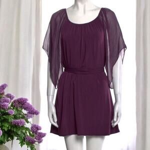 Alice Olivia Dress Purple Silk Batwing Sleeve Pullover Tunic Shift